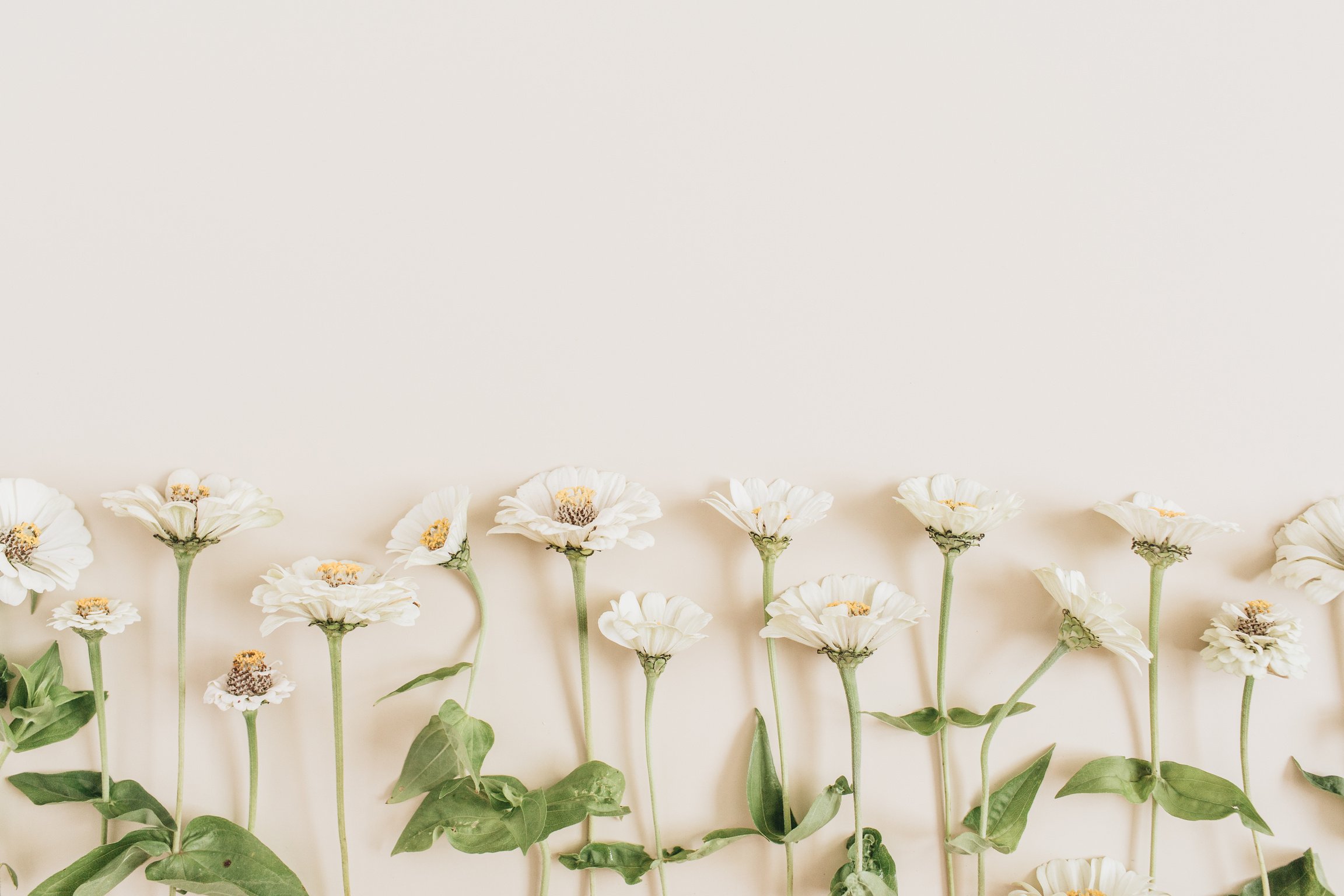 Flowers on beige background